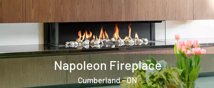  Napoleon Fireplace Cumberland - ON