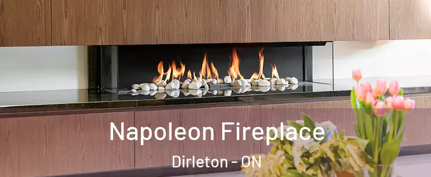  Napoleon Fireplace Dirleton - ON