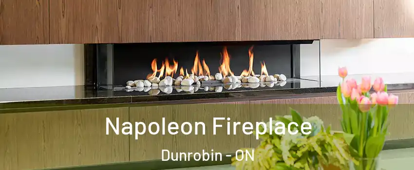  Napoleon Fireplace Dunrobin - ON