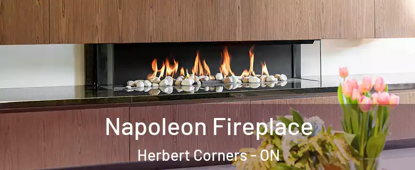  Napoleon Fireplace Herbert Corners - ON