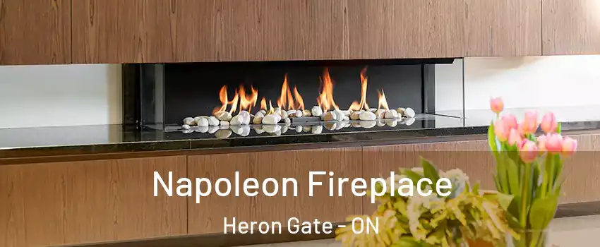  Napoleon Fireplace Heron Gate - ON