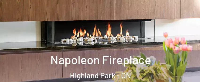  Napoleon Fireplace Highland Park - ON