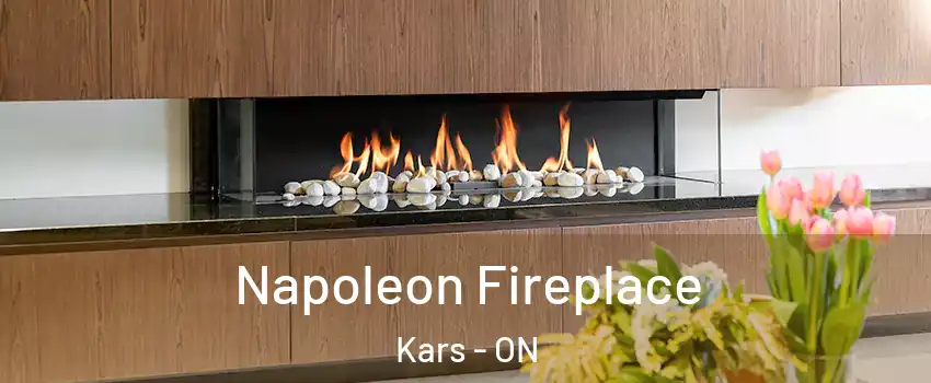  Napoleon Fireplace Kars - ON