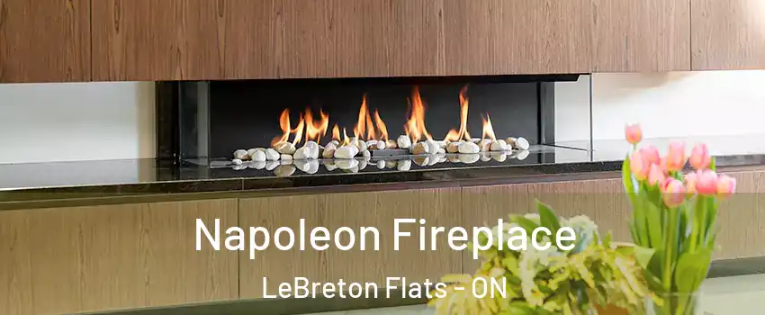  Napoleon Fireplace LeBreton Flats - ON