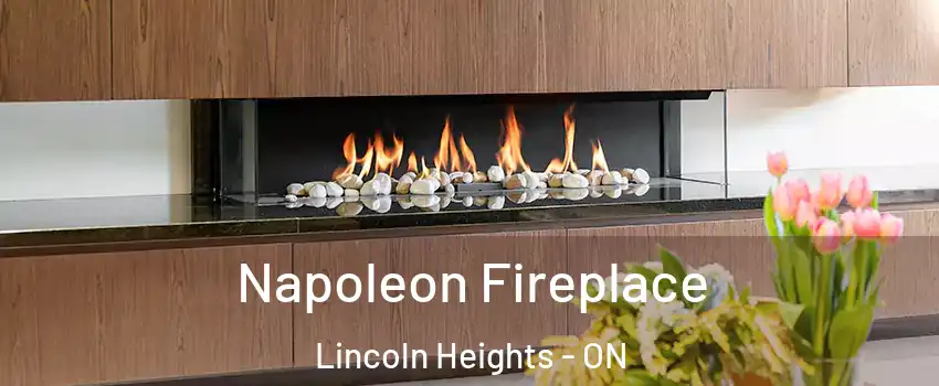  Napoleon Fireplace Lincoln Heights - ON