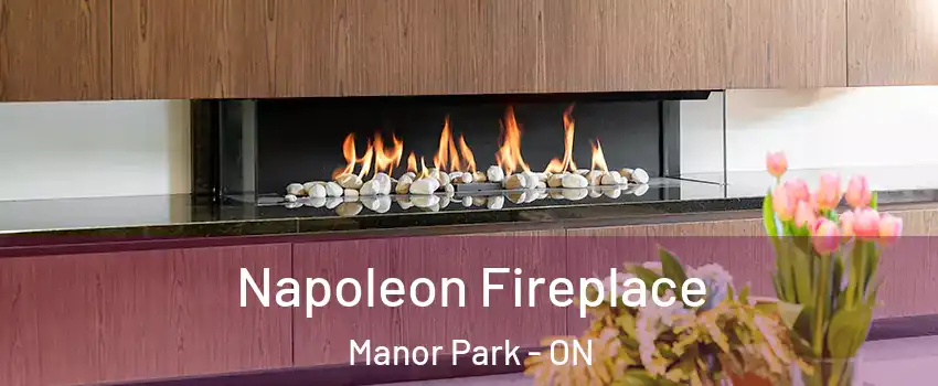  Napoleon Fireplace Manor Park - ON