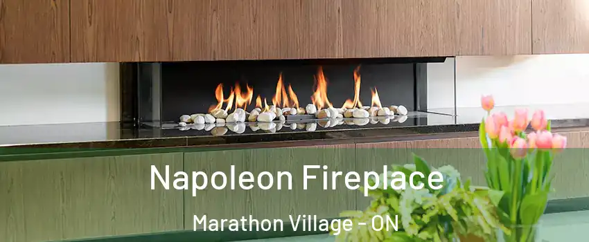  Napoleon Fireplace Marathon Village - ON