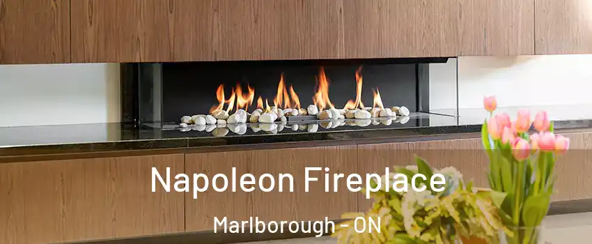  Napoleon Fireplace Marlborough - ON