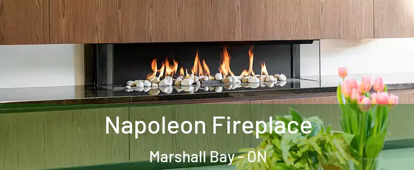  Napoleon Fireplace Marshall Bay - ON