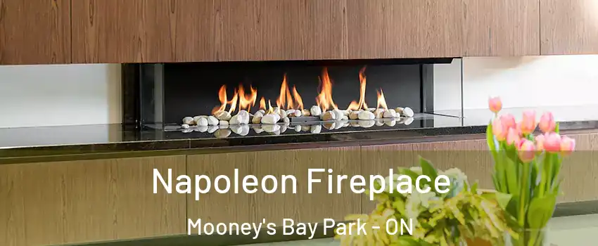  Napoleon Fireplace Mooney's Bay Park - ON