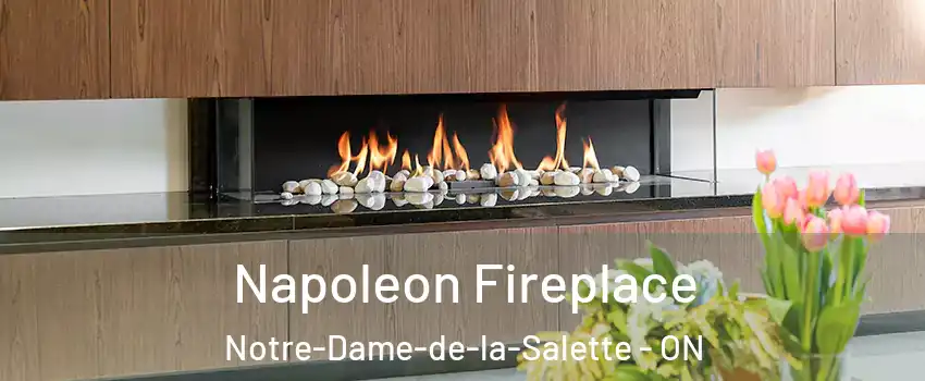  Napoleon Fireplace Notre-Dame-de-la-Salette - ON