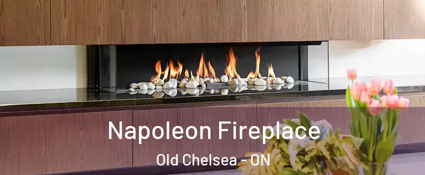  Napoleon Fireplace Old Chelsea - ON