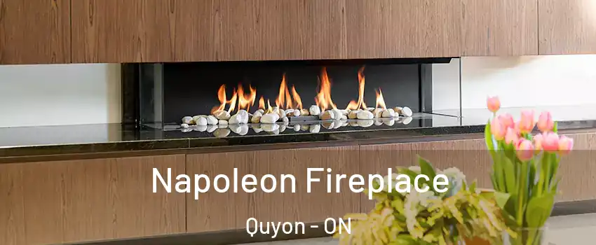  Napoleon Fireplace Quyon - ON