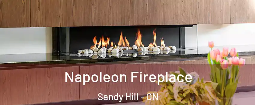  Napoleon Fireplace Sandy Hill - ON