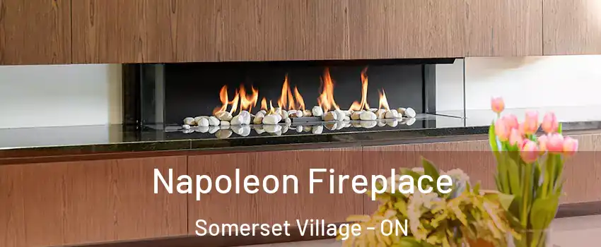  Napoleon Fireplace Somerset Village - ON