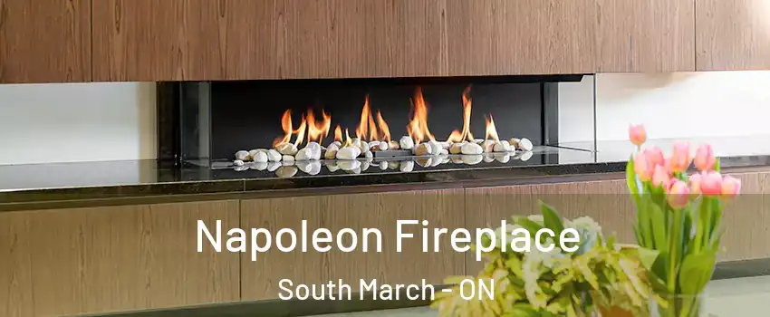  Napoleon Fireplace South March - ON