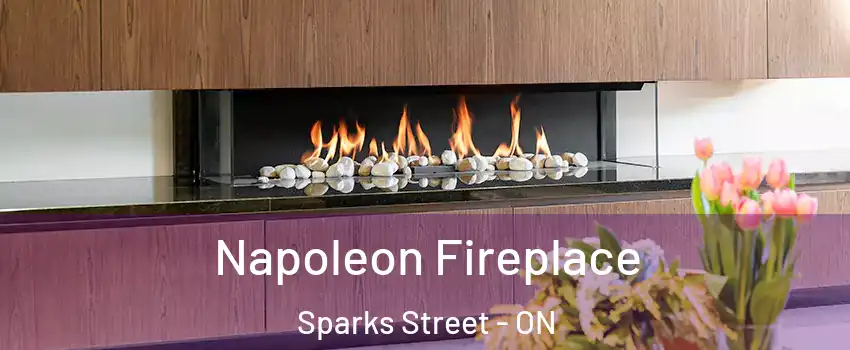  Napoleon Fireplace Sparks Street - ON