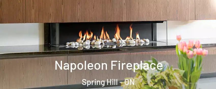  Napoleon Fireplace Spring Hill - ON