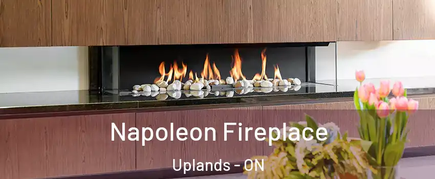  Napoleon Fireplace Uplands - ON