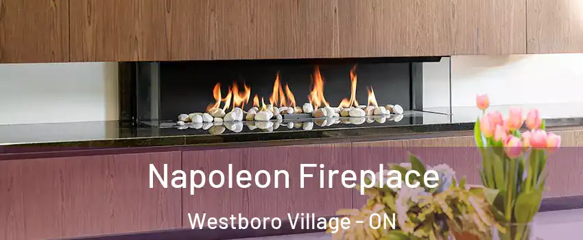  Napoleon Fireplace Westboro Village - ON