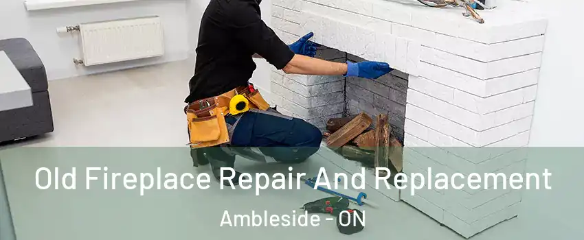  Old Fireplace Repair And Replacement Ambleside - ON