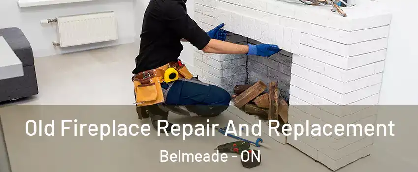  Old Fireplace Repair And Replacement Belmeade - ON