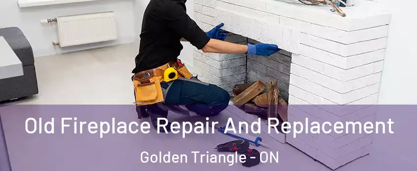  Old Fireplace Repair And Replacement Golden Triangle - ON