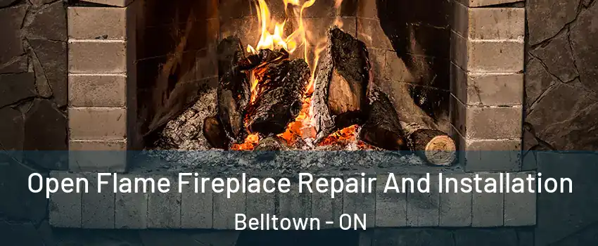  Open Flame Fireplace Repair And Installation Belltown - ON