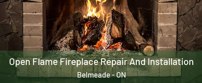  Open Flame Fireplace Repair And Installation Belmeade - ON