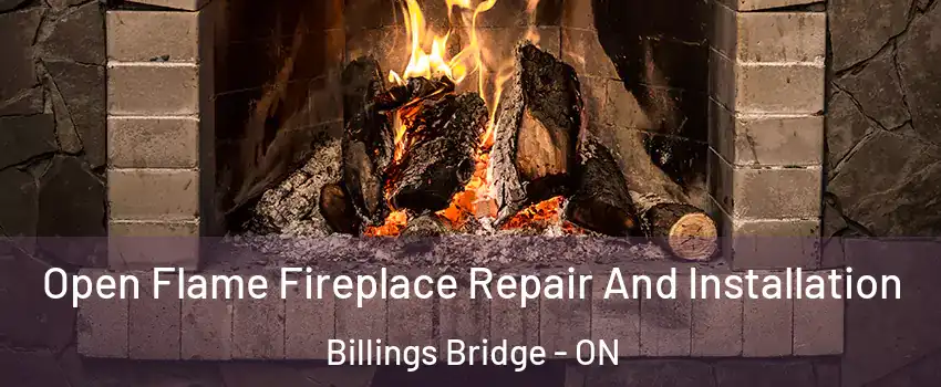  Open Flame Fireplace Repair And Installation Billings Bridge - ON