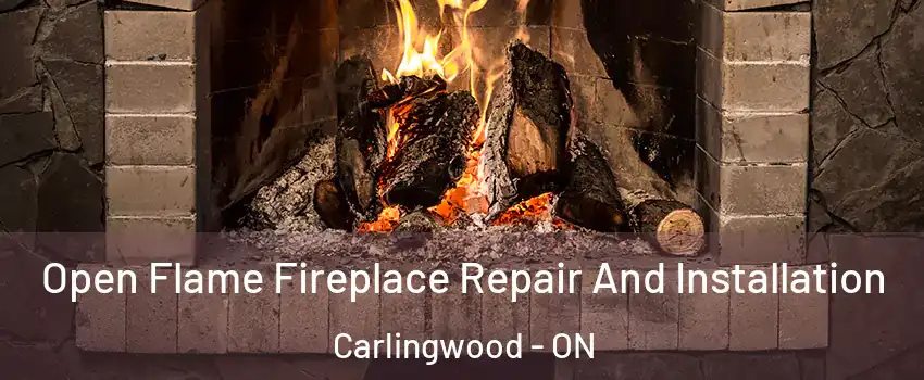  Open Flame Fireplace Repair And Installation Carlingwood - ON