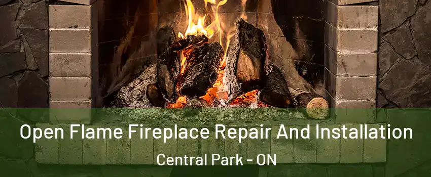  Open Flame Fireplace Repair And Installation Central Park - ON