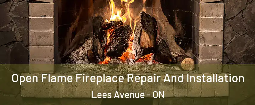  Open Flame Fireplace Repair And Installation Lees Avenue - ON