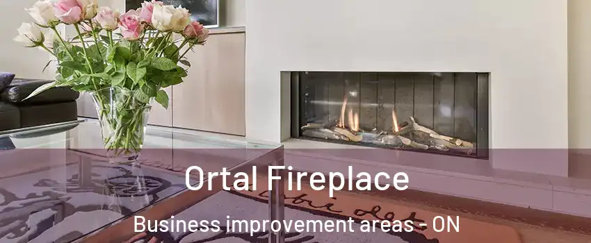  Ortal Fireplace Business improvement areas - ON