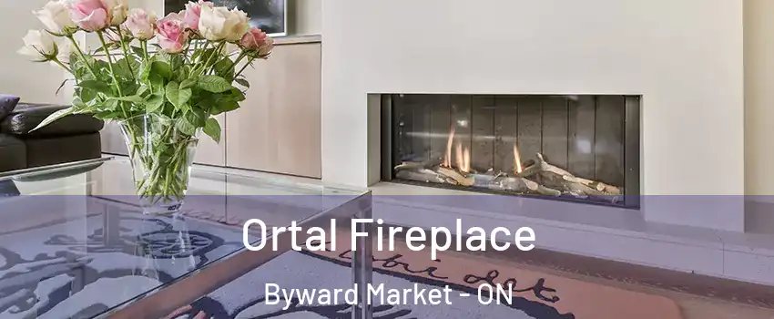  Ortal Fireplace Byward Market - ON