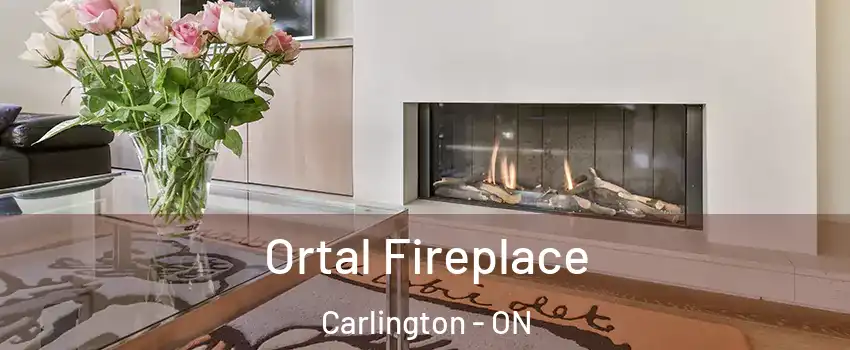  Ortal Fireplace Carlington - ON