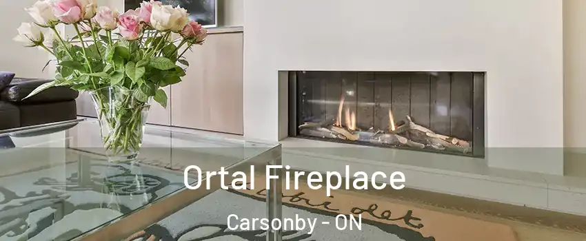  Ortal Fireplace Carsonby - ON