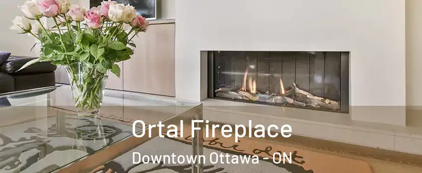  Ortal Fireplace Downtown Ottawa - ON