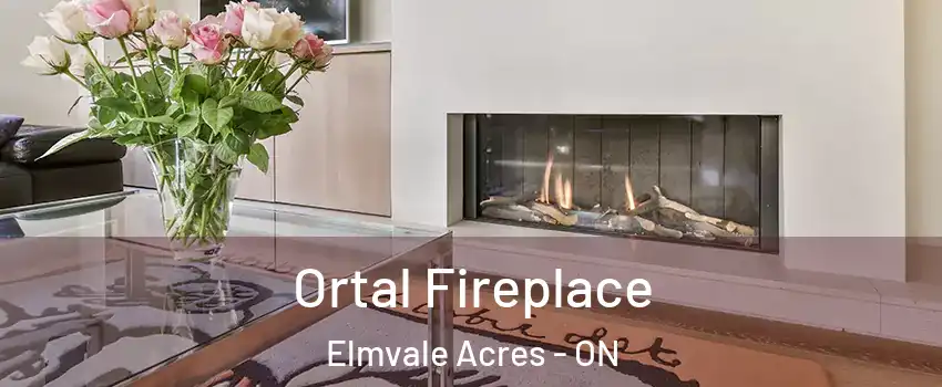  Ortal Fireplace Elmvale Acres - ON