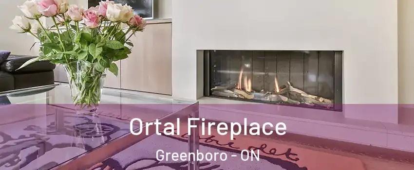  Ortal Fireplace Greenboro - ON