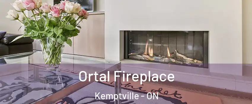  Ortal Fireplace Kemptville - ON