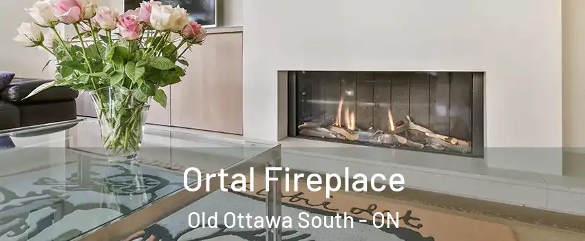  Ortal Fireplace Old Ottawa South - ON