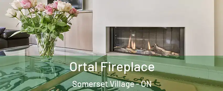  Ortal Fireplace Somerset Village - ON