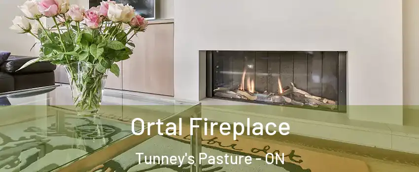  Ortal Fireplace Tunney's Pasture - ON