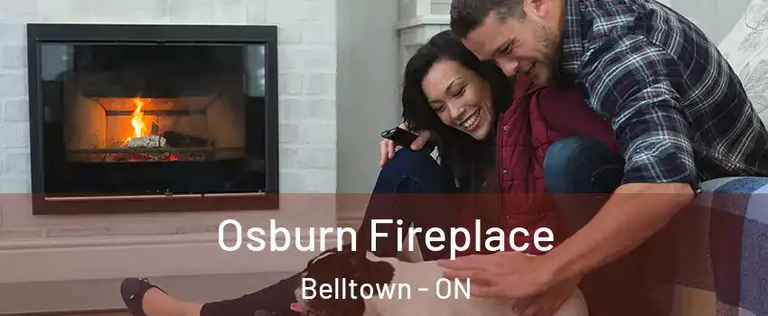  Osburn Fireplace Belltown - ON