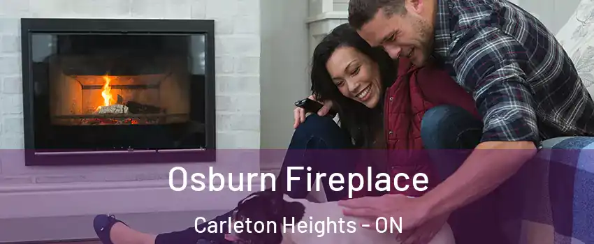  Osburn Fireplace Carleton Heights - ON