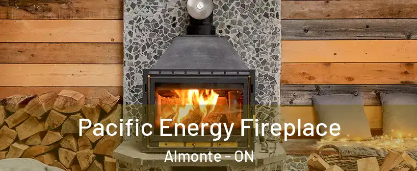  Pacific Energy Fireplace Almonte - ON