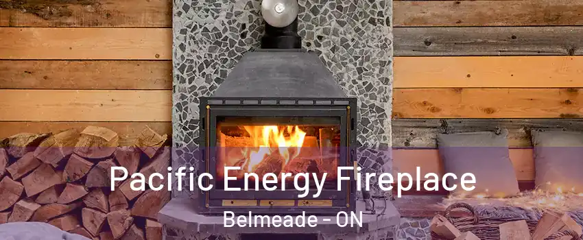  Pacific Energy Fireplace Belmeade - ON