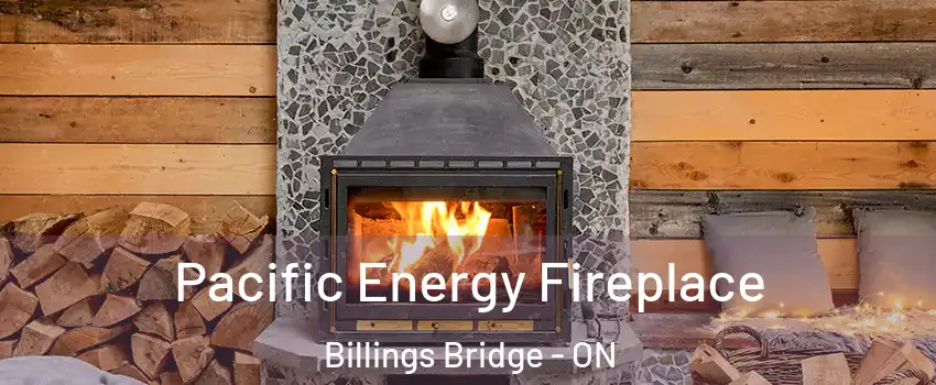  Pacific Energy Fireplace Billings Bridge - ON