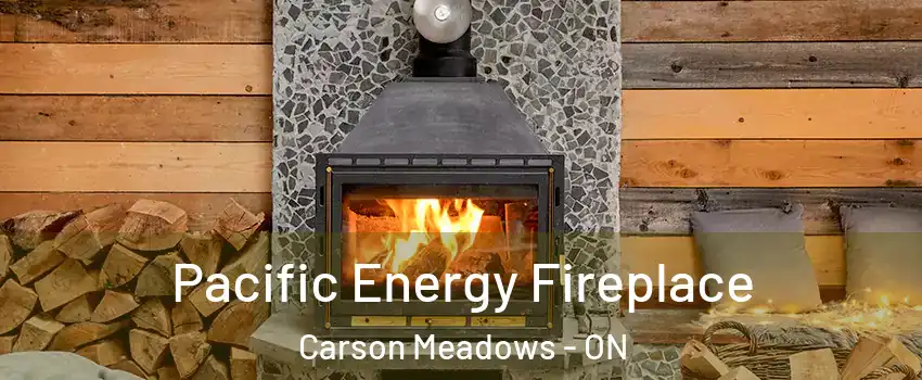  Pacific Energy Fireplace Carson Meadows - ON